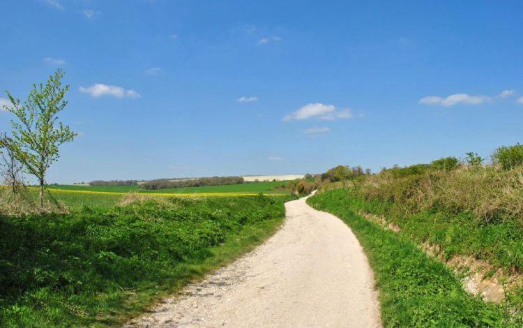 The Run, West Lavant Chichester Eksteriør billede